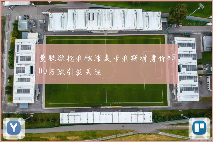曼联欲挖利物浦麦卡利斯特身价8500万欧引发关注