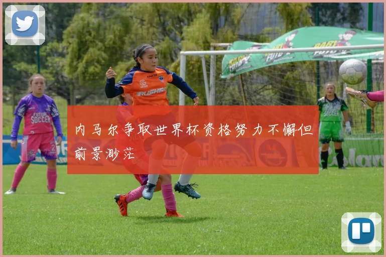 内马尔争取世界杯资格努力不懈但前景渺茫