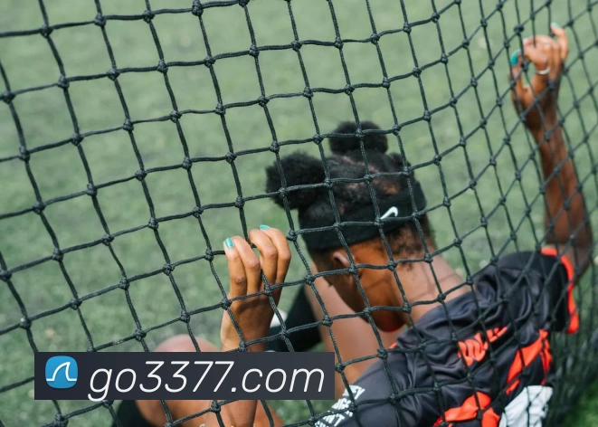 3377体育官网品牌故事