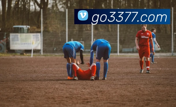 3377体育官网服务体系